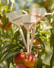 Cargar imagen en el visor de la galería, Peach Please - 3PC Big Daddy Brush Set - Edición Limitada