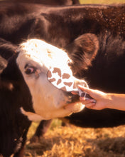 Cargar imagen en el visor de la galería, Yeehaw - Cepillo Desenredante
