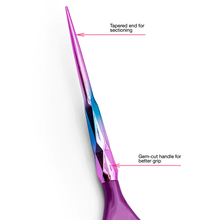 Cargar imagen en el visor de la galería, "Aurora" Brush Set  - 2 pack
